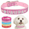 Personalized Dog Leather Collar