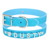 Personalized Dog Leather Collar